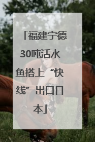 福建宁德30吨活水鱼搭上“快线”出口日本